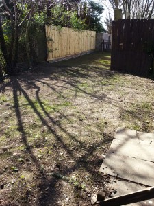 Garden, with new grass coming through, Forres Crescent